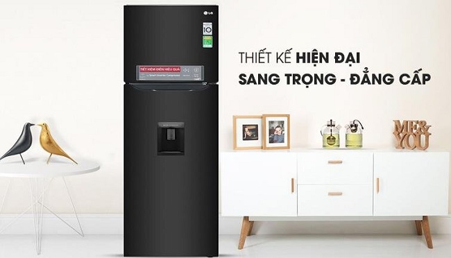 Tủ lạnh LG GN - D255BL